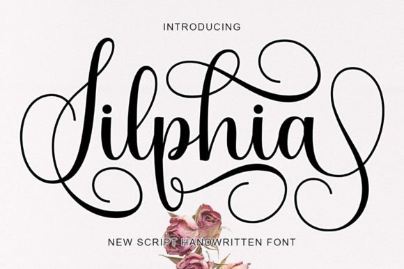Silphia Font: The Secret Weapon for Campaign Clarity
