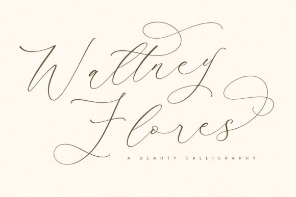 Waltney Flores: The Luxury Script Font for Handmade Brands
